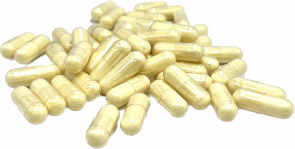 240 Pièces à 550 mg Chèvre Colostrum 24
